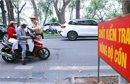 Hàng nghìn phương tiện bị tạm giữ do vi phạm giao thông trong ngày mùng 2 Tết