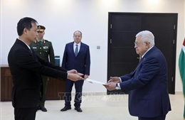 Việt Nam khẳng định quan điểm nhất quán về Palestine, sẵn sàng tham gia tái thiết Gaza