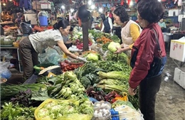 Thị trường Tết Bính Ngọ không khan hàng, tăng giá đột biến