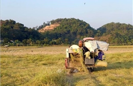 Hiện thực hóa Nghị quyết 57 bằng những cánh đồng công nghệ cao