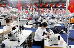 Đầu Xuân vào việc ngay, tạo nền cho tăng trưởng hai con số​