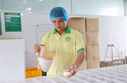 Nông dân trẻ 'ươm mầm' nông nghiệp 4.0