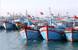 Lâm Đồng chỉ đạo khẩn trương khắc phục tồn tại trong chống khai thác IUU