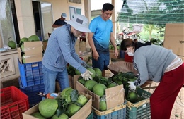 Nông dân, hợp tác xã 'vào guồng' sản xuất sau Tết