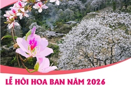 Lễ hội Hoa Ban năm 2026: Điểm hẹn mùa Xuân hấp dẫn