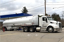 Xung đột Trung Đông và tác động kinh tế: Bộ trưởng Mỹ tuyên bố giá xăng sắp giảm