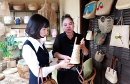 Phụ nữ Ninh Bình mở hướng khởi nghiệp, làm giàu