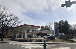 Phe Cộng hòa bang California (Mỹ) kêu gọi Tổng thống Trump can thiệp vào cuộc khủng hoảng xăng dầu