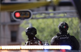 Mỹ cân nhắc mở rộng chiến dịch trấn áp băng đảng ma túy xuyên biên giới