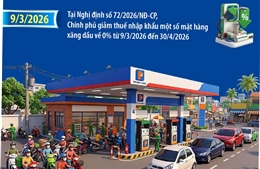 Chính phủ triển khai các giải pháp cấp bách bảo đảm an ninh năng lượng 