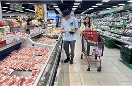 Giữ nhịp tăng trưởng từ thị trường nội địa