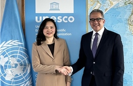 Việt Nam coi trọng tham gia và hợp tác với UNESCO