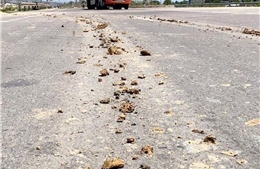 Xử lý xe tải làm rơi vãi đất thải xuống đường