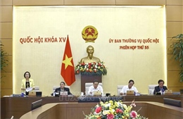 Ủy ban Thường vụ Quốc hội cho ý kiến về hai dự án luật