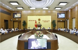 UBTV Quốc hội cho ý kiến về Luật Hộ tịch (sửa đổi), Luật Thủ đô (sửa đổi)