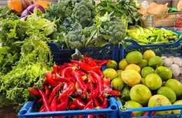 Trung Quốc mở cửa thị trường 1,4 tỷ dân cho nông sản châu Phi