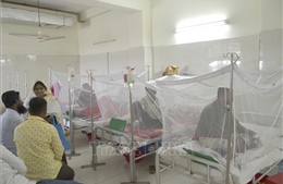 'Giải mã' thách thức trong phòng ngừa dịch sốt xuất huyết