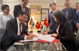 Việt Nam và Ấn Độ tạo cú hích mới cho hợp tác CNTT