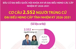 Cơ cấu 2.552 người trúng cử đại biểu HĐND cấp tỉnh nhiệm kỳ 2026-2031