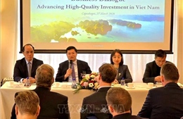 Thúc đẩy hợp tác đầu tư giữa Việt Nam và Đan Mạch