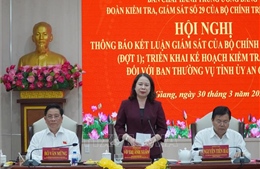 Phó Chủ tịch nước yêu cầu công tác kiểm tra khẩn trương và thực chất​