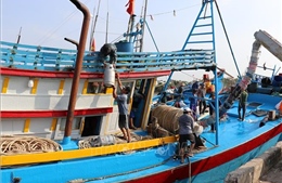 Ngư dân, doanh nghiệp xoay xở trước biến động giá nhiên liệu