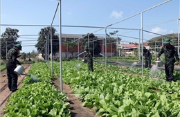 Những 'lão nông' tinh nhuệ trên thao trường Minh Đạm