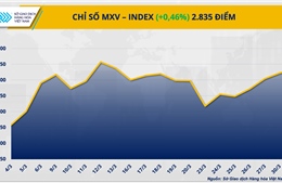 Thị trường kim loại quý đảo chiều mạnh cuối tháng, bạc dẫn dắt đà tăng