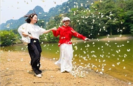 Cúc Phương rộn ràng mùa bướm đến sớm