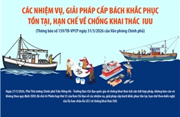 Các nhiệm vụ, giải pháp cấp bách khắc phục tồn tại, hạn chế về chống khai thác IUU