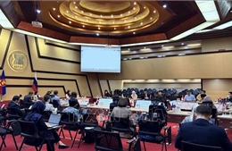 ASEAN - Nga thúc đẩy hợp tác trên nhiều lĩnh vực
