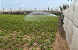 Hiệu quả từ công trình chống sạt lở ven biển