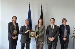 Việt Nam và Đức thúc đẩy hợp tác lao động