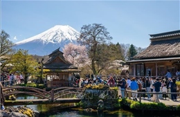 Khám phá vẻ đẹp cổ tích của ngôi làng cổ dưới chân núi Phú Sĩ (Nhật Bản)