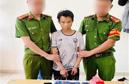 Bắt giữ, khởi tố các đối tượng vi phạm pháp luật