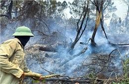 Nghệ An kịp thời dập tắt vụ cháy rừng phía sau núi Mộ Dạ