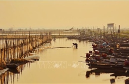 Những mảnh đời trên mặt phá Tam Giang - Bài 1