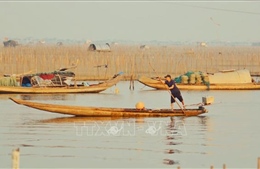 Những mảnh đời trên mặt phá Tam Giang - Bài 2