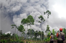 Indonesia duy trì cảnh báo cao do núi lửa Semeru tiếp tục phun trào