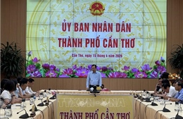 Cần Thơ bàn giải pháp thu mua, xuất khẩu gạo