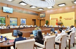 Đề xuất thí điểm chế định luật sư công trong 2 năm