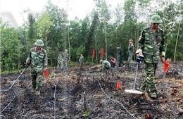 Đẩy nhanh tiến độ rà phá bom mìn phục vụ tìm kiếm, quy tập hài cốt liệt sĩ ở địa bàn trọng điểm