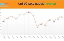 Lực mua giành ưu thế, MXV-Index nối dài đà tăng