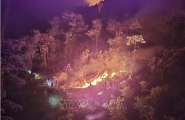 Kịp thời khống chế vụ cháy rừng phòng hộ ở Tân Uyên, Lai Châu