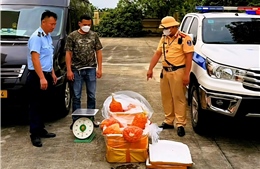 Liên tiếp triệt phá các vụ vi phạm an toàn thực phẩm quy mô lớn