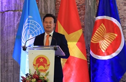 51 năm thống nhất đất nước: Việt Nam tiếp tục đóng góp hiệu quả cho các cơ chế đa phương
