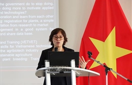 Nhịp cầu công nghệ sinh học Việt Nam - Bỉ