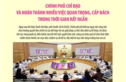 Chính phủ chỉ đạo và hoàn thành nhiều việc quan trọng, cấp bách trong thời gian rất ngắn