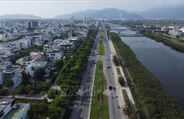 Khánh Hòa: Cần hài hòa quản lý đô thị với bảo vệ không gian xanh