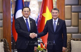 Thủ tướng Lê Minh Hưng gặp Thủ tướng Lào Sonexay Siphandone